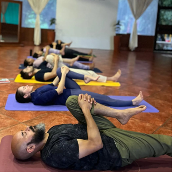 Asana Halls